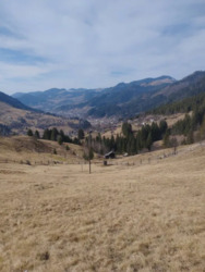 ��������� ������� ������� �����, ������� ������, �������������, �����-���������� ���� 14