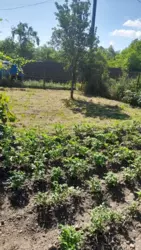 ��������� ������� �����-����������, �����-��������� ����, ��������� ���� 12