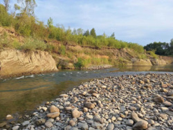 ��������� ������� ѳ����� ��������, 5, �����������, ���������������, �����-���������� ���� 5