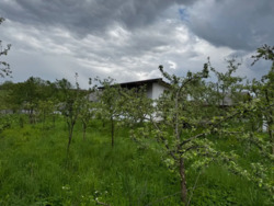 ��������� ������� ����������, ���������������, �����-���������� ���� 5