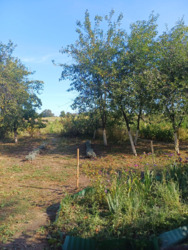 ��������� ������� ��'����, 2, �������, ����������, �����-���������� ���� 4