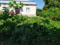 Продається будинок Пуків, Рогатинський, Івано-Франківська фото 2 Продається будинок Пуків, Рогатинський, Івано-Франківська фото 2