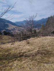 ��������� ������� ������� �����, ������� ������, �������������, �����-���������� ���� 9