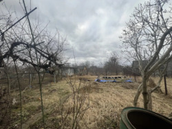 ��������� ������� ��������, �����-��������� ����, �����-���������� ���� 5