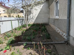 ������ ������� � ��������� ������� �-� �������� ���� 20