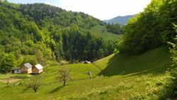 ��������� ������� �������, �����-���������� ���� 12