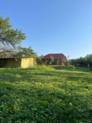 ��������� ������� �������, ���������������, �����-���������� ���� 7