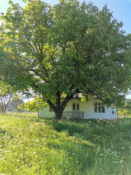 ��������� ������� ��������������, 57, ��������, ���������������, �����-���������� ���� 2