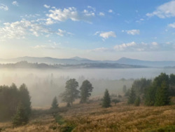 ��������� ������� ��������, �������������, �����-���������� ���� 18