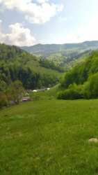 ��������� ������� �������, �����-���������� ���� 9