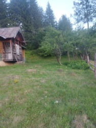 ��������� ������� ������� �����, ������� ������, �������������, �����-���������� ���� 6