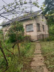 ��������� ������� ������������, 6�, ������ ����, ����������, �����-���������� ���� 1