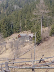 ��������� ������� ������� �����, ������� ������, �������������, �����-���������� ���� 1