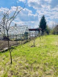 ��������� ������� ���������, �����-��������� ����, �����-���������� ���� 2