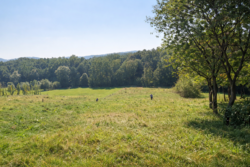 ��������� ������� �����-����������, ���������, ��������� ���� 4