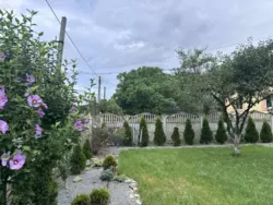 ��������� ������� �����-����������, �����-���������, ��������, �������� ���. ���� 27