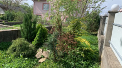 ��������� ������� ������� �������, 3, �������, ����������, �����-���������� ���� 7