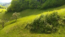 ��������� ������� �������, �����-���������� ���� 3