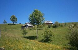 Продається будинок Кривопілля, Верховинський, Івано-Франківська фото 2 Продається будинок Кривопілля, Верховинський, Івано-Франківська фото 2