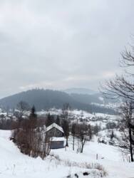 ��������� ������� ���������, �������������, �����-���������� ���� 13