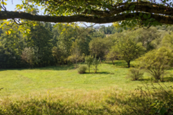 ��������� ������� �����-����������, ���������, ��������� ���� 3