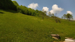 ��������� ������� �������, �����-���������� ���� 16