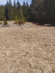 ��������� ������� ������� �����, ������� ������, �������������, �����-���������� ���� 12