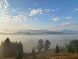 ��������� ������� ��������, �������������, �����-���������� ���� 17