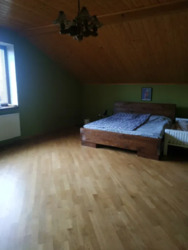 ��������� ������� к���, �������, ������������, �����-���������� ���� 12