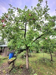 Будинок 140 мкв+50 сот землі. фото 45 Будинок 140 мкв+50 сот землі. фото 45