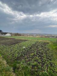 ��������� ������� ���������, ������������, �����-���������� ���� 2