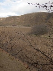 ��������� ������� �����-����������, ��������������, ���������, ���������� ���� 11