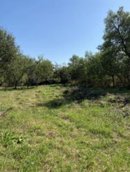 ��������� ������� ���, 1, ��������, �����-��������� ����, �����-���������� ���� 8