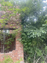 ��������� ������� �������, ������������, �����-���������� ���� 1