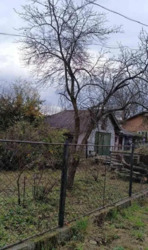 ��������� ������� ������, �����, ���������, �����-���������� ���� 4