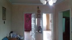 ��������� ������� ���������, 28, ���������, ������������, �����-���������� ���� 7