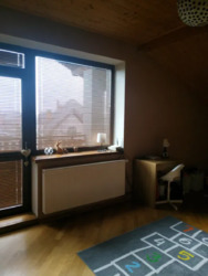 ��������� ������� к���, �������, ������������, �����-���������� ���� 13