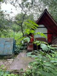 ��������� ������� ������, �����, ���������, �����-���������� ���� 20