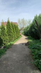 ��������� ������� ������� �������, 3, �������, ����������, �����-���������� ���� 5