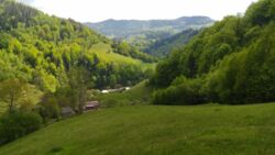 ��������� ������� �������, �����-���������� ���� 5