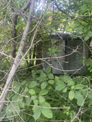 ��������� ������� �������, ������������, �����-���������� ���� 10