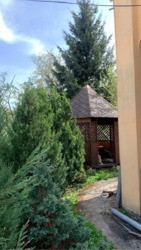 ��������� ������� ������� �������, 3, �������, ����������, �����-���������� ���� 6