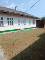 ��������� ������� ������������, �����-���������� ���� 1