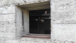 ��������� ������� ��������, ������ ������, ������������, �����-���������� ���� 8