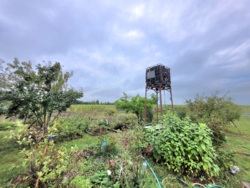 Будинок 140 мкв+50 сот землі. фото 50 Будинок 140 мкв+50 сот землі. фото 50