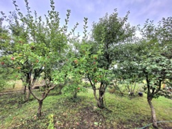 Будинок 140 мкв+50 сот землі. фото 49 Будинок 140 мкв+50 сот землі. фото 49