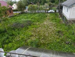 ��������� ������� ����������, ���������������, �����-���������� ���� 2