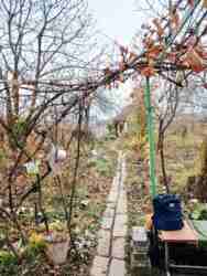 ��������� ������� �����-����������, �����-��������� ����, �������, ��������� ���� 9