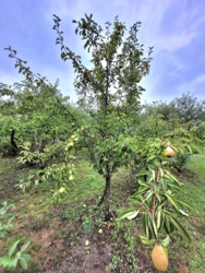 Будинок 140 мкв+50 сот землі. фото 47 Будинок 140 мкв+50 сот землі. фото 47