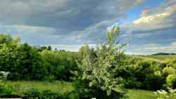 ��������� ������� �����������, 47, �������, ���������������, �����-���������� ���� 17